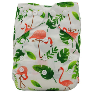 Baby Cloth Diaper