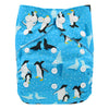 Brand Fralda Baby Washable Diaper